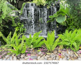 Blurred background of a waterfall in the ornamental garden in front of the house. - Powered by Shutterstock