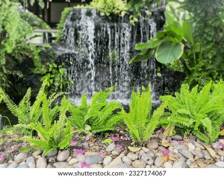 Blurred background of a waterfall in the ornamental garden in front of the house.