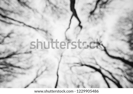 _-|-_ Hill Tree Sky Winter