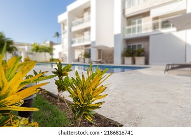 Blurred Backyard With Swimming Pool In Typical Modern Caribbean Residence, Focus On Tropical Flowers, No People