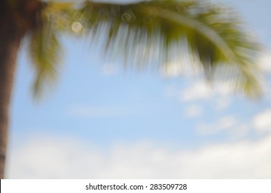 Blurred Beach With Palm Leaf Abstract Background.