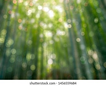 Blurred Bokeh Background Of Bamboo Grove