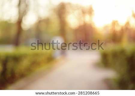 blurred bokeh background in city park spring time