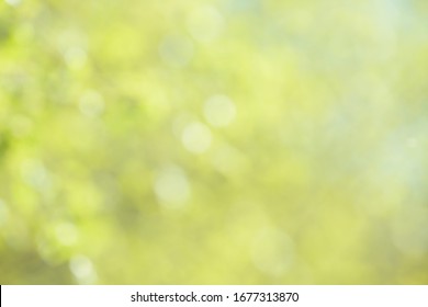 Blurry Grass Stock Photos & Vectors | Shutterstock