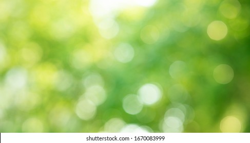 Blurred Bokeh Of Tree Garden In Morning Background,spring Summer Season Or Green Concept Ideas