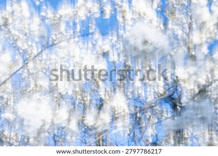 Blurred branches of a spring tree against the sky in an impressionistic art style. Soft painterly brush stroke texture effect. Concept of creative photography asset, and fine art wallpaper