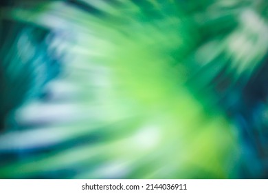 Blurred bright Green palm leaves in tropic   Nature background and Palm leaves  Creative colorful gradient backdrop and palm tree leafs   sunlight