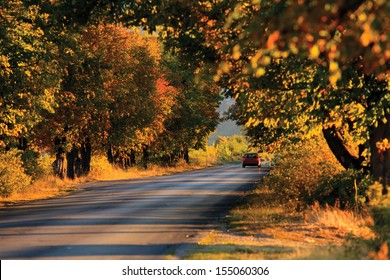 Blurred Car Trip In Sunny Autumn Forest Road 