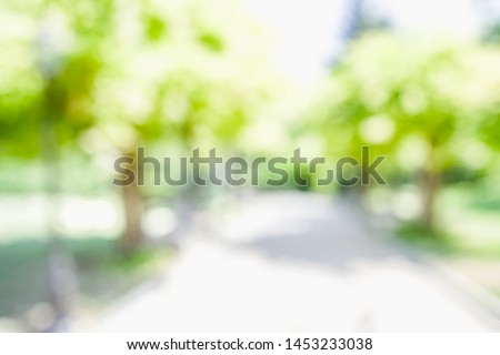 BLURRED CITY PARK BACKGROUND, GREEN TREES BLUR
