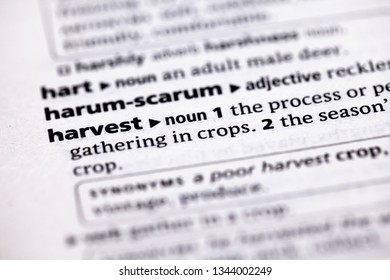 Blurred close up to the partial dictionary definition of Harvest