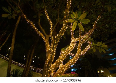 garden christmas lights