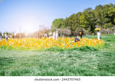 Blurred dreamy background of spring outing in the park