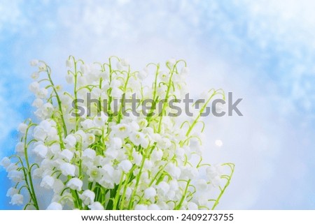 Blurred floral natural background. Soft focus. Spring landscape. flowers lily of the valley. outdoors