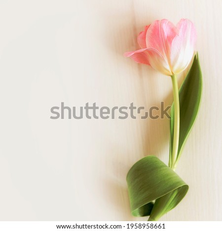 Similar – together one Hand Flower