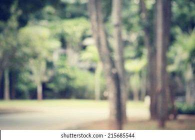 Blurred Forest 