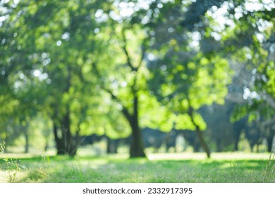 blurred forest green background material - Powered by Shutterstock