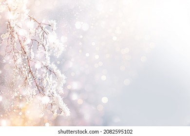Blurred frozen grass. Winter abstract background. Landscape. outdoor
