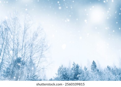 Blurred. Frozen winter forest with snow covered trees. outdoor. landscape - Powered by Shutterstock