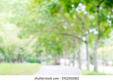 Blurred Garden In Spring Nature Outdoor Background, Blur Green Tree Park In Summer Background, Banner, Defocus Spring Foliage Countryside With Abstrct Bokeh Light Wallpaper, Poster