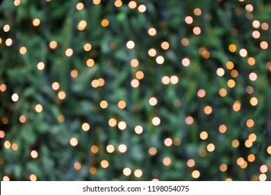 Blurred golden garland on Christmas tree, defocused background. Christmas abstract. - Powered by Shutterstock