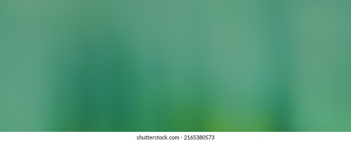 Blurred green forest background. Space for high resolution banner - Shutterstock ID 2165380573