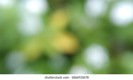 緑 グラデーション の写真素材 画像 写真 Shutterstock