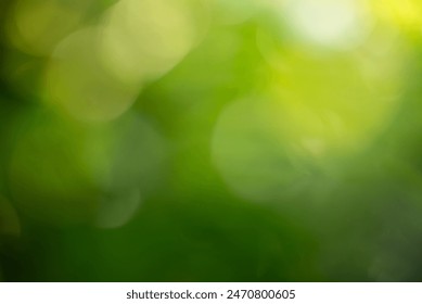 leaf gradient green background