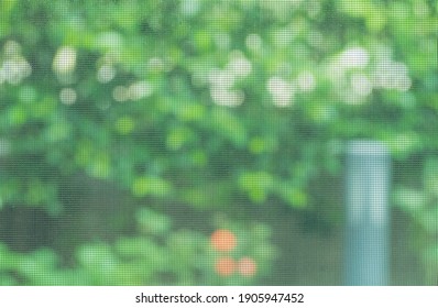 Blurred Green Leaves Background Of Garden, See Through Mosquito Wire Screen, Can Use Be Background