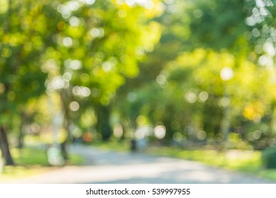 Blurred Green Natural Tree Leaves Park Stock Photo 539997955 | Shutterstock