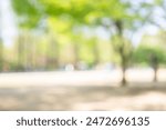 Blurred of green natural tree in park background