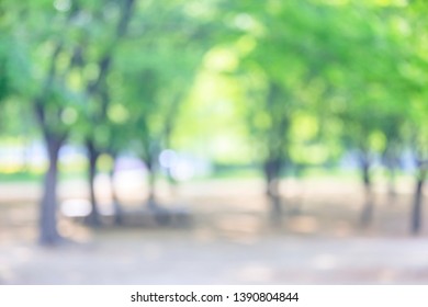 Blurred of green natural tree in park background - Shutterstock ID 1390804844