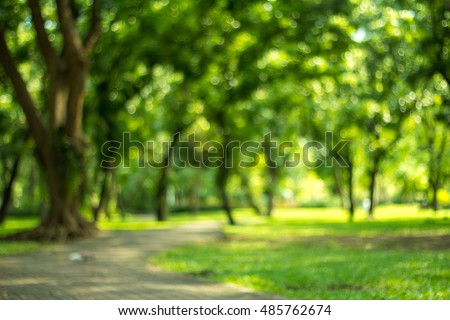 Blurred of green natural tree in park background.