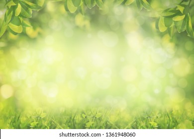 Blurred green spring background, frame of grass and leaves