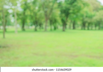 Blurred of green trees lawn light nature abstract, in park background and summer season - Shutterstock ID 1154639029