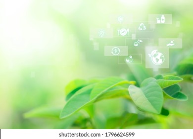 Blurred greenery background with copy space, Sustainable energy logo and technology icon. Agriculture and environmental concept. Ecology reuse and data analysis with internet of thing IOT