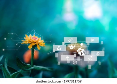 Blurred Greenery Background With Copy Space, Nature Sustainable Energy Logo And AI Technology Icon. Agriculture And Environmental Concept. Ecology Reuse And Data Analysis With Internet Of Thing IOT