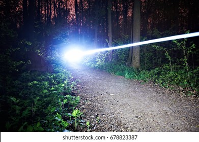 Blurred Head Light Trail Of A Riding Bike At Night In The Forest