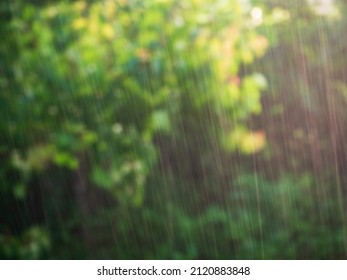 11,438 Heavy rain forest Images, Stock Photos & Vectors | Shutterstock