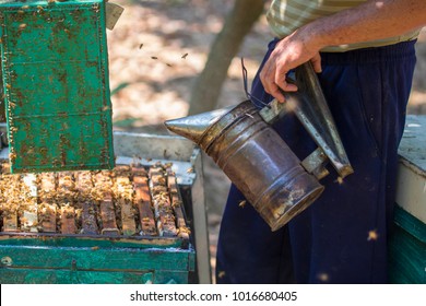 Blurred Image Beekeeper Background Stock Photo 1016680405 | Shutterstock