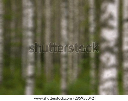 Similar – Foto Bild Sommer im Birkenwald in Finnland | Panorama