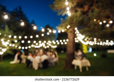 Blurred image of Decorative outdoor lighting lamps in the forest at a wedding party. Edison lamps on coniferous trees - Powered by Shutterstock