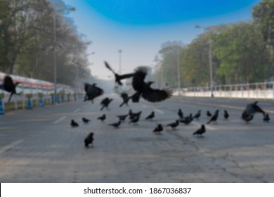 Blurred Image Of Empty Red Road In The Morning With Blue Sky Above. The Crows Have Gathered Together Due To No Traffic On The Busy Road. Shot At Kolkata, West Bengal, India.