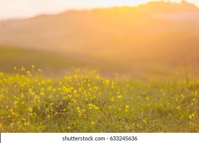 Blurred Image Of A Field With Flowers, Hills And Sunset At The Background.