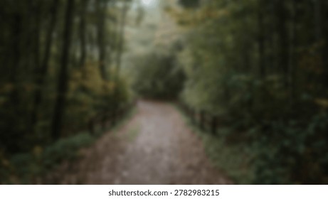 A blurred image of a forest path, showcasing a serene nature scene with trees and sunlight filtering through the leaves. The path leads into the distance.