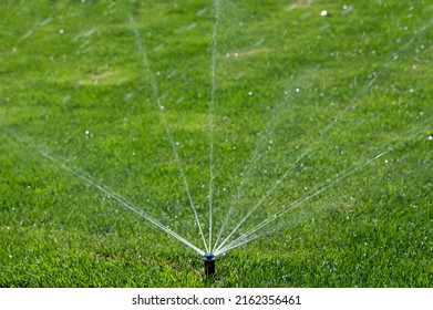 Blurred image of lawn watering with a sprinkler on a sunny summer day.Irrigation system.