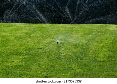 Blurred image of lawn watering with a sprinkler on a sunny summer day.Irrigation system.
