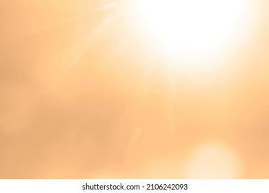 blurred image. MORNING SUNSHINE IN THE FOREST. Beautiful autumn landscape with the yellow light of the setting sun. AUTUMN IN THE GARDEN WITH SUN LIGHT RAYS AT SUNSET, OUTDOOR FALL SEASON BACKGROUND