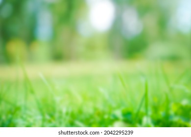 Blurred Image. Nature Green Grass With Bokeh Background. Nature City Park Garden Blur Bokeh Background. Green Nature For City Life Or Save The Earth Concept.
