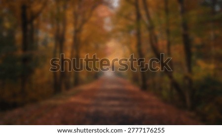 A blurred image of a path through an autumn forest, showcasing vibrant fall colors. The scene captures the beauty of nature, with golden leaves and sunlight filtering through the trees, creating a peaceful atmosphere.