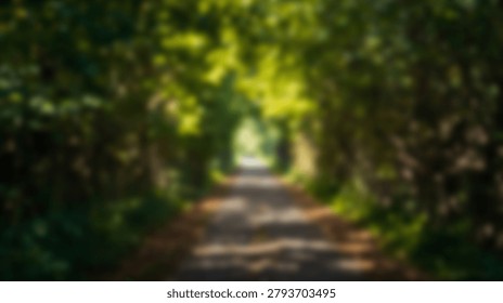 A blurred image of a pathway through a forest with lush green trees and sunlight filtering through the leaves, creating a serene and natural scene.